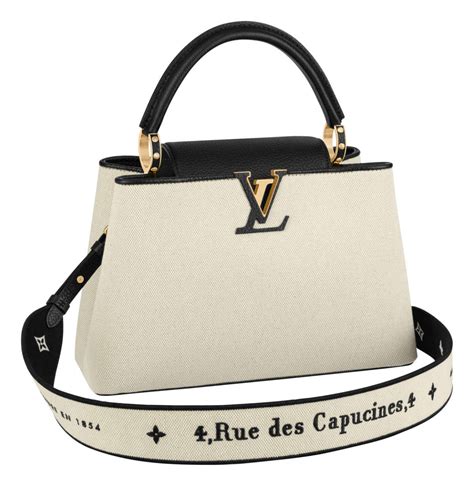 louis vuitton capucine style|louis vuitton capucines price euro.